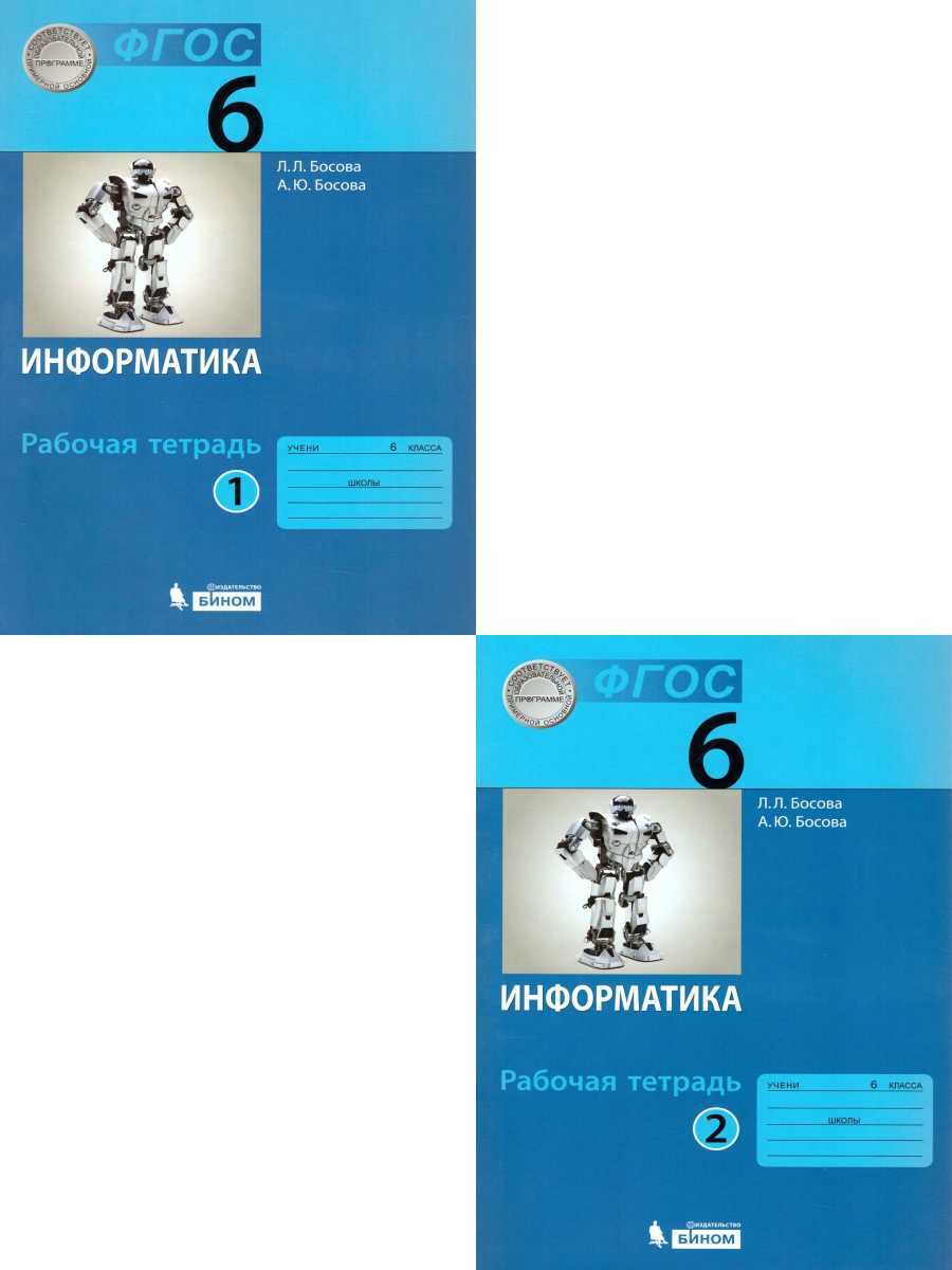 Информатика 6 класс. Рабочая тетрадь. Комплект в 2-х частях. ФГОС | Босова  Людмила Леонидовна, Босова Анна Юрьевна - купить с доставкой по выгодным  ценам в интернет-магазине OZON (436760500)