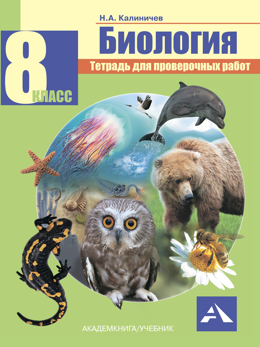 Биология. Тетрадь для проверочных работ. 8 класс | Калиничев Николай  Александрович - купить с доставкой по выгодным ценам в интернет-магазине  OZON (253469872)