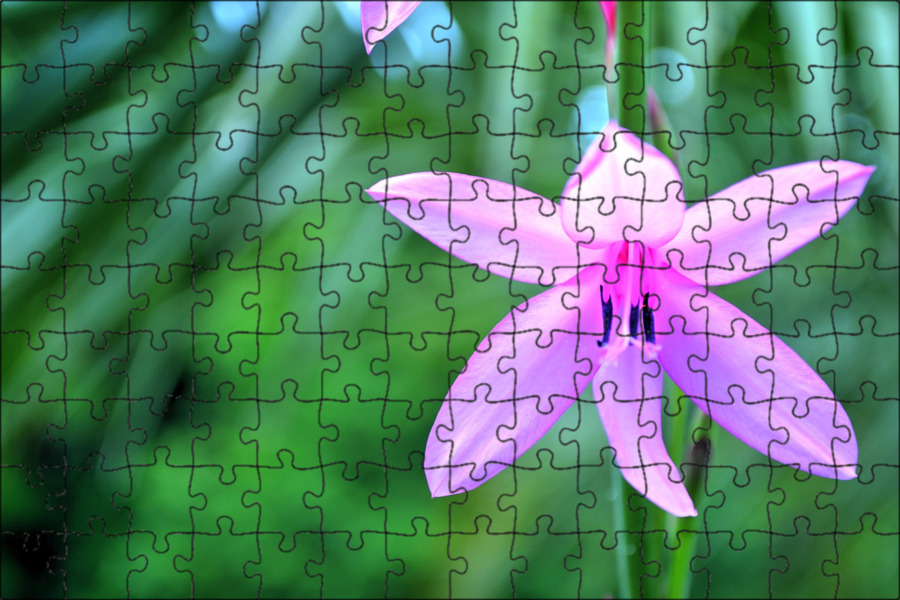Flowered up