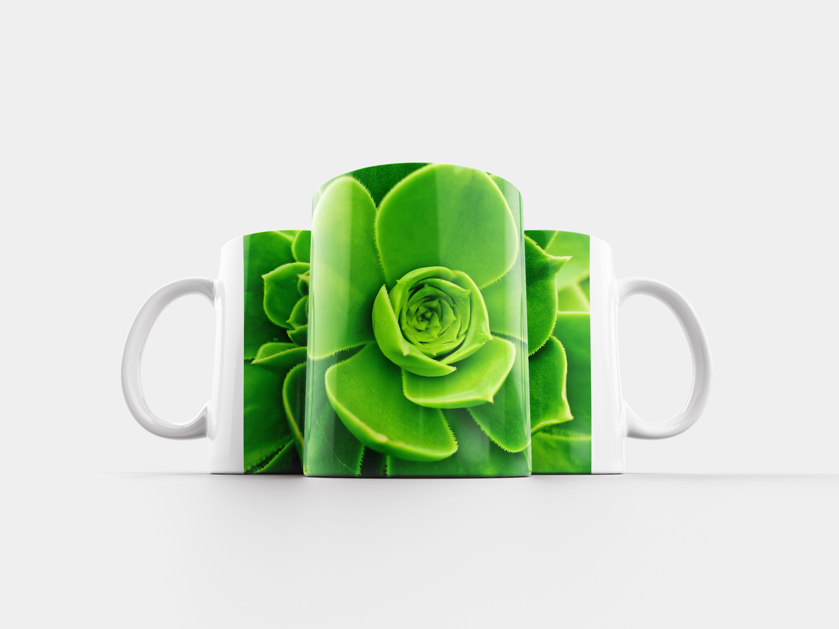 Чашка какой корень. No mug root bear meme. Кружка root (черный). Чашка какой корень. Безударные гласные в корне слова проверяемые ударением примеры 2.