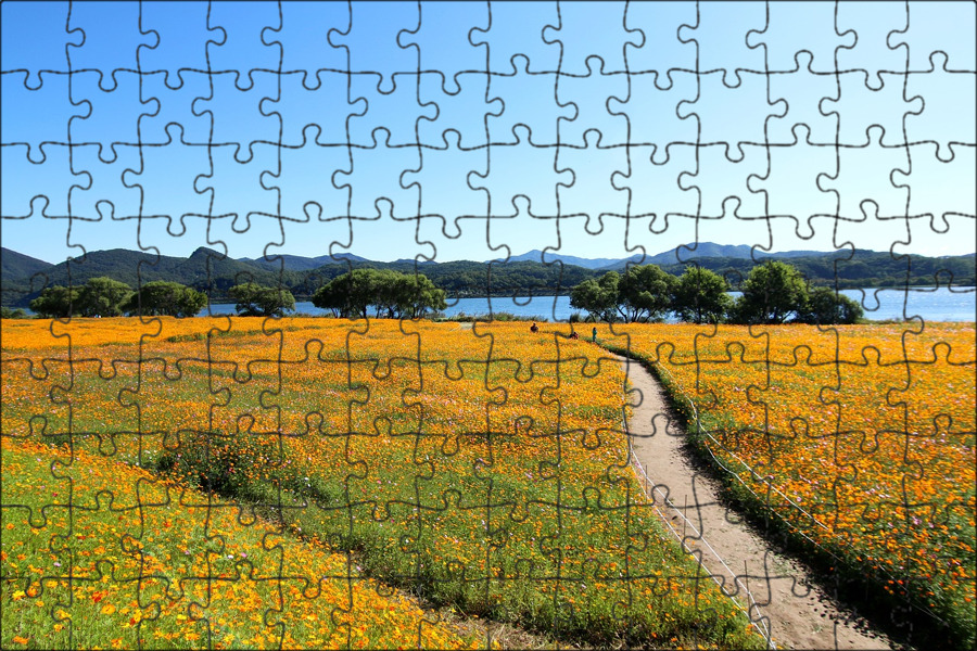 Раскаленное поле puzzle chaos. Космос с игровым полем. Крым вид кустарники поле.