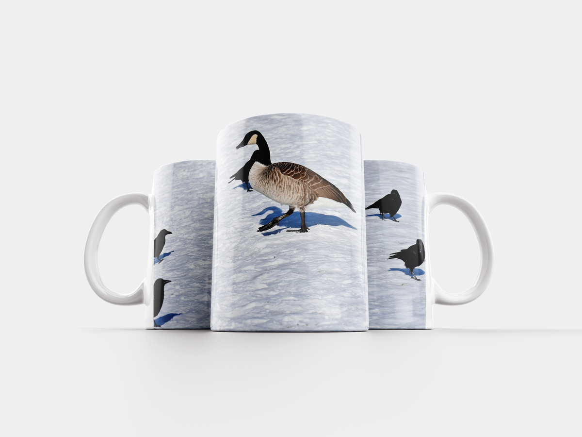 Утки и вороны. Заповедники азербайджана птиц. Гусь и ворона. Ворон гусь. Ворон гусь.