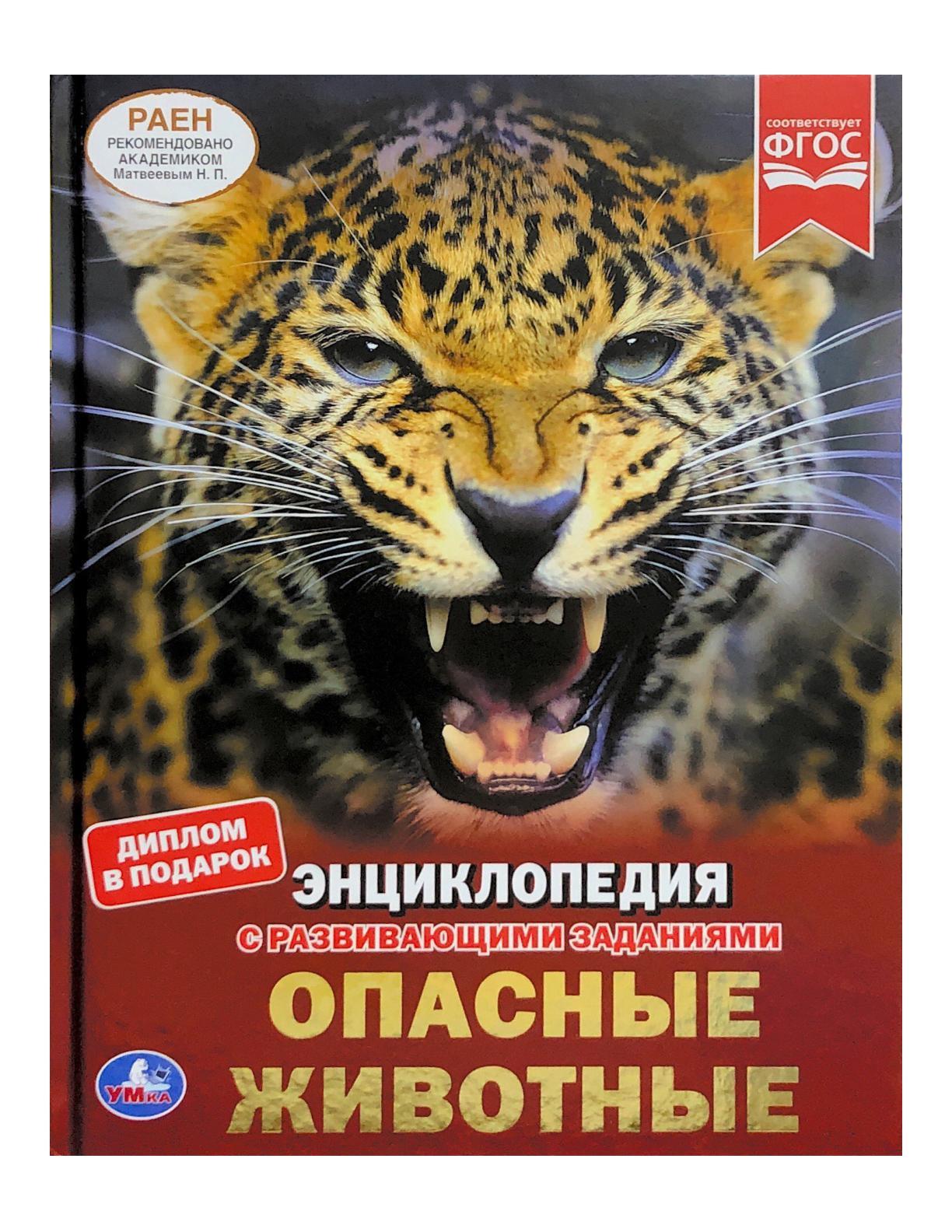 Энциклопедии умка фгос с развивающими заданиями. Энциклопедия с развивающими заданиями. Энциклопедии умка фгос с развивающими заданиями. Энциклопедия с развивающимися заданиями. Умка энциклопедия животные.