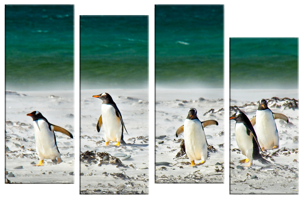 86 170. Модульная картина пингвины. Картины с пингвинами известные.