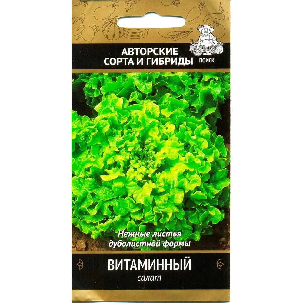 Салат витаминный кбжу. Семена салат витаминный. Салат витаминный листовой. Семена салата листового. Листья салата семена.