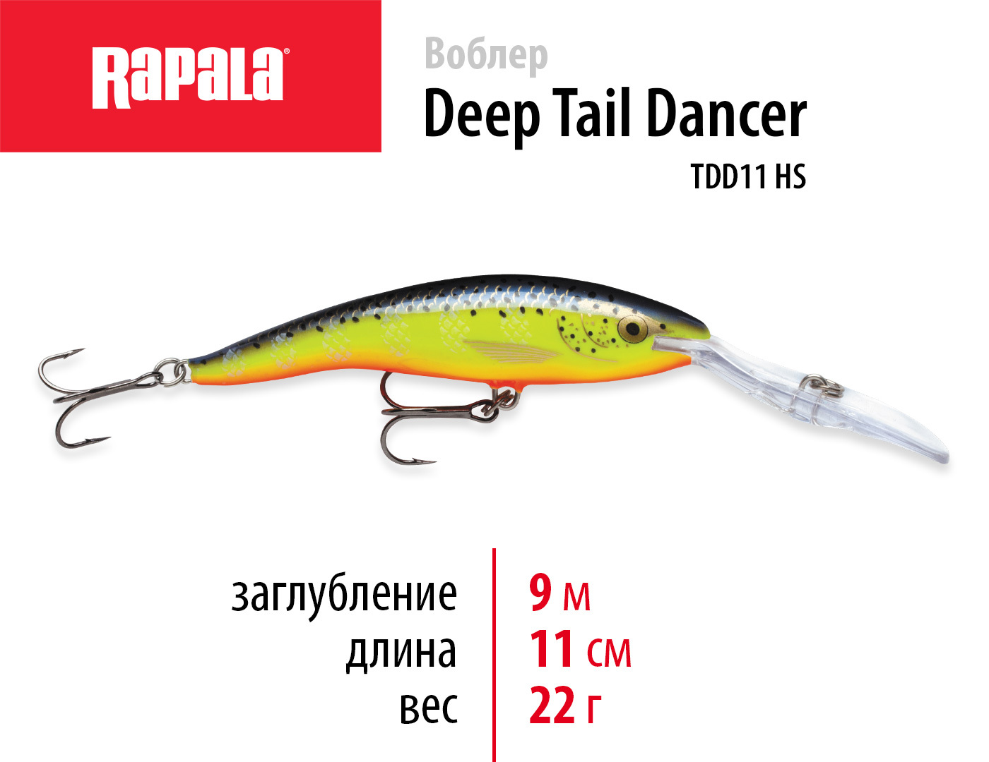 Deep tail dancer