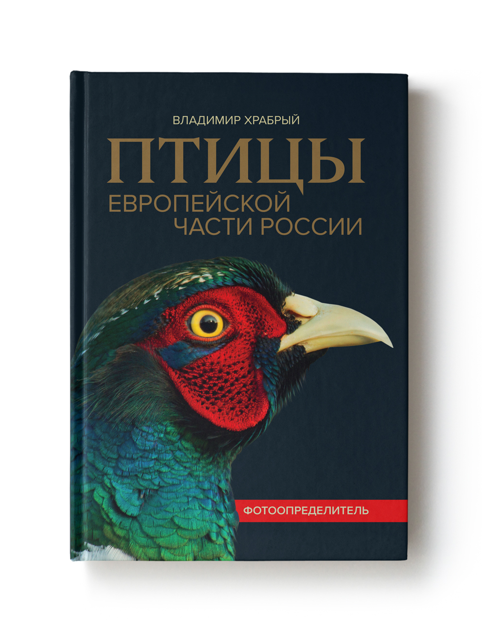 Птицы Европейской России