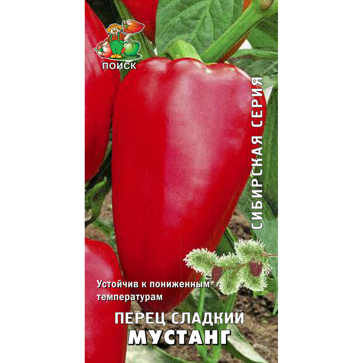 Перец сорт Мустанг