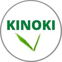 KINOKI — купить товары KINOKI в интернет-магазине OZON