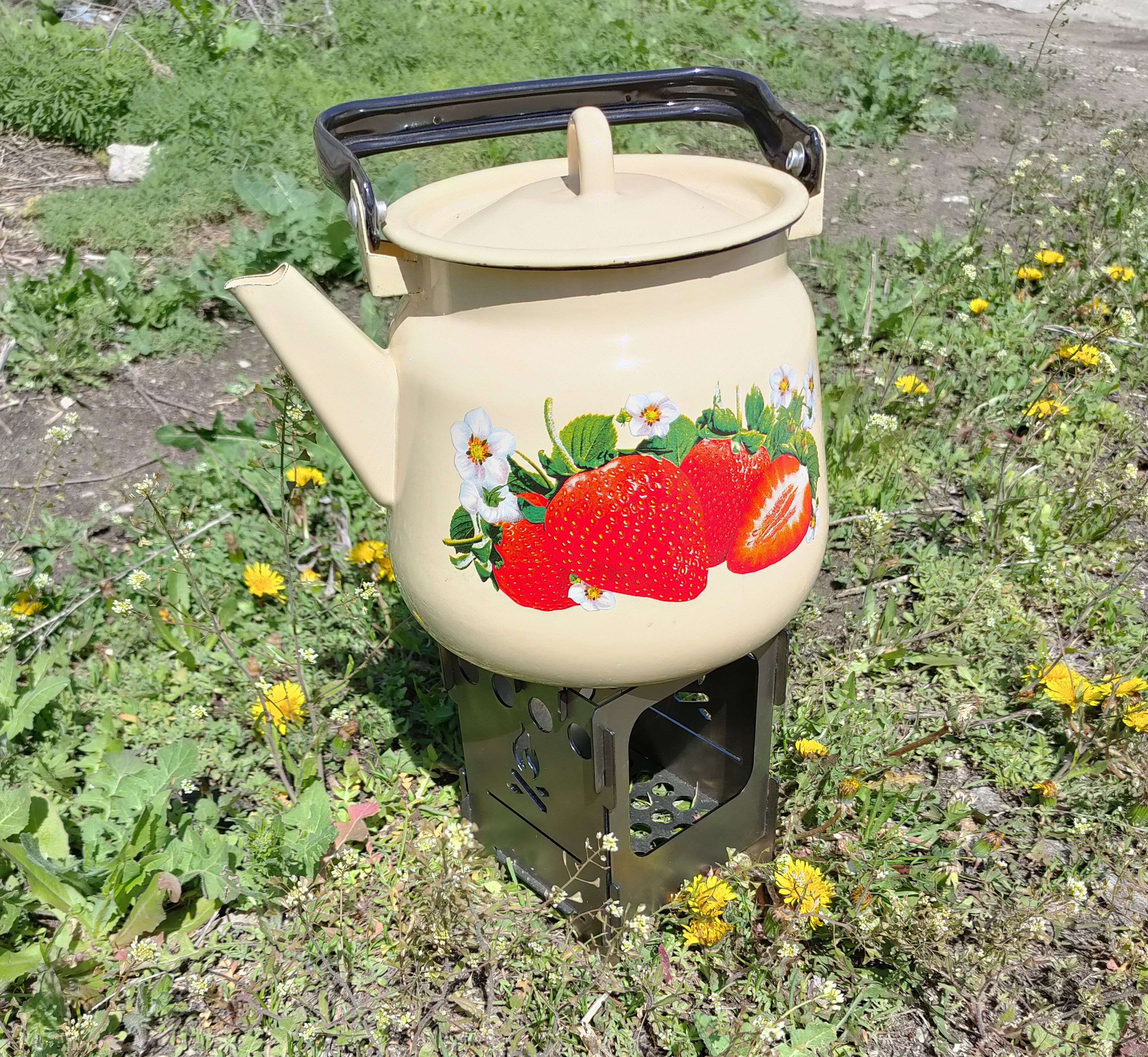 Туристическая Дровяная Печь Купить