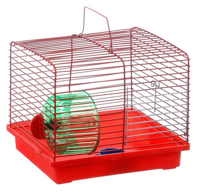 Сено луговое султан 24л. Грызунов 24. Сено луговое для грызунов стандарт султан 24 л. Султан подстилка сено луговое. Грызунов 24.