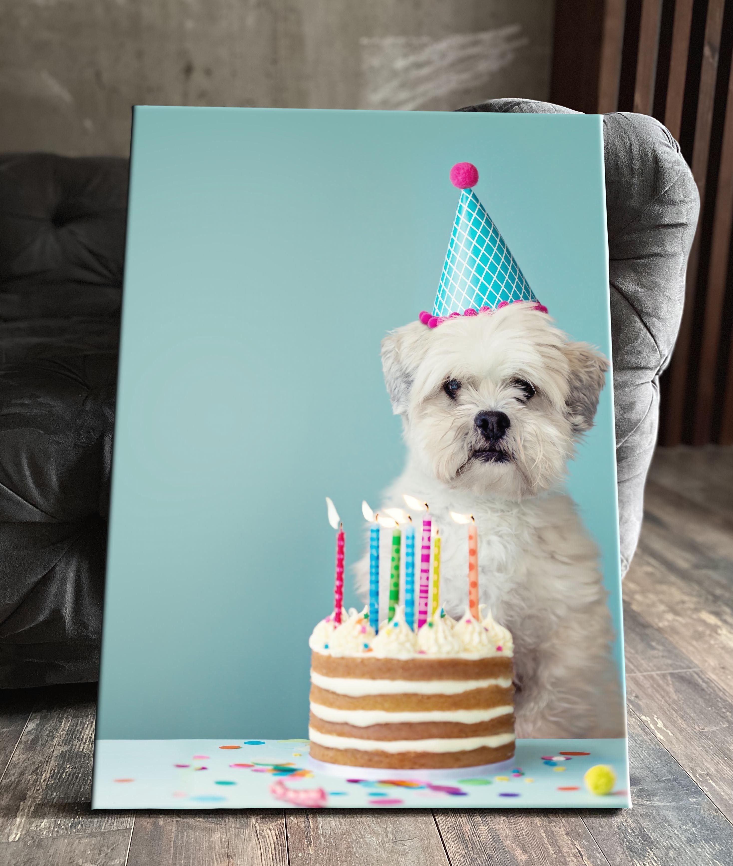 Пес день рождения макса. Подарок собаке на день рождения. Идеи для дня рождения собаки. Подарок на день рождения собаки своими руками. Торт для собаки на день рождения.