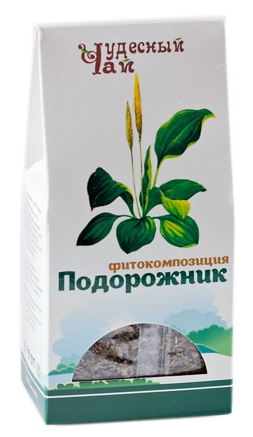Капли с подорожником для желудка. Форма листа подорожника большого. Подорожника большого сок 100мл. Сок подорожник сгущает кровь?. Сок подорожника вифитех.