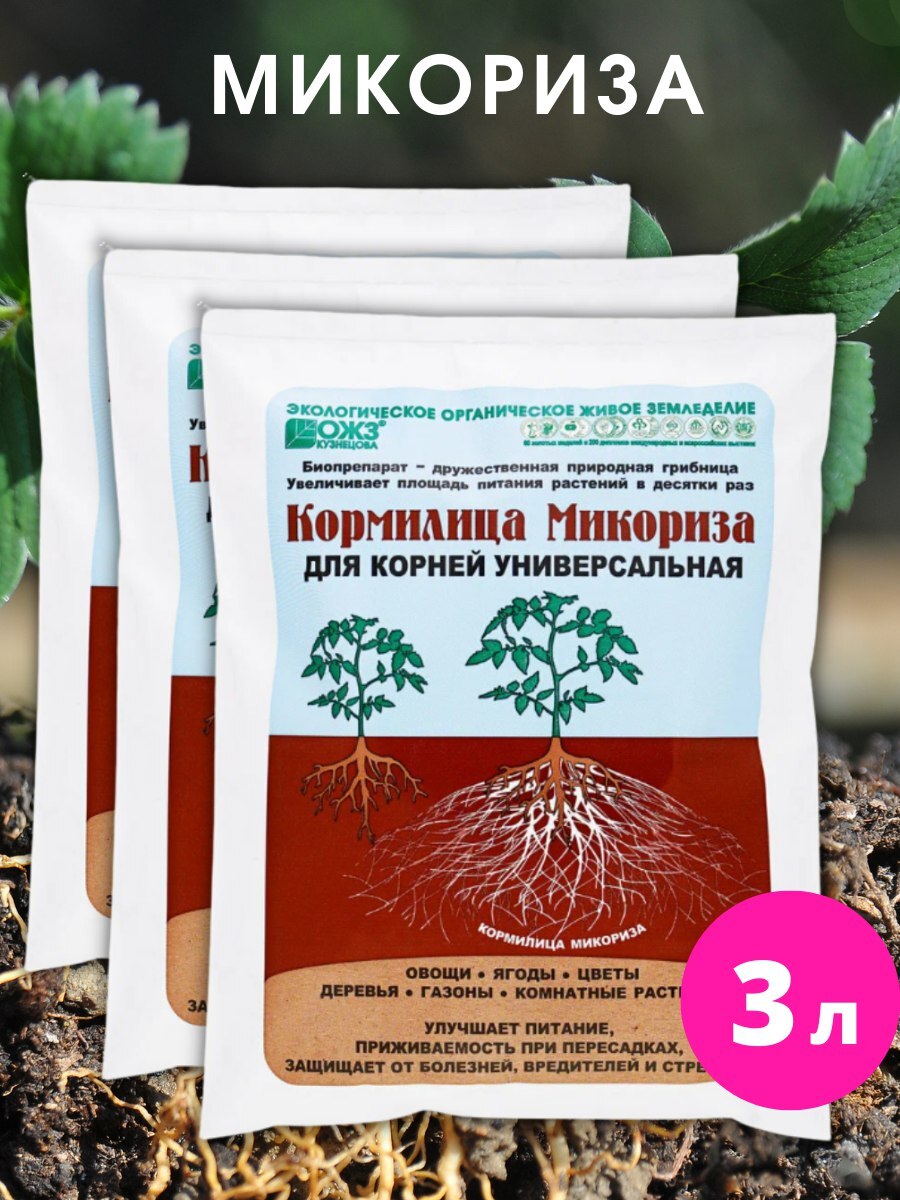 Микориза для рассады способ применения отзывы покупателей. Удобрение кормилица микориза. Кормилица микориза БАШИНКОМ. Микориза от БАШИНКОМ. Кормилица микориза, 30г.