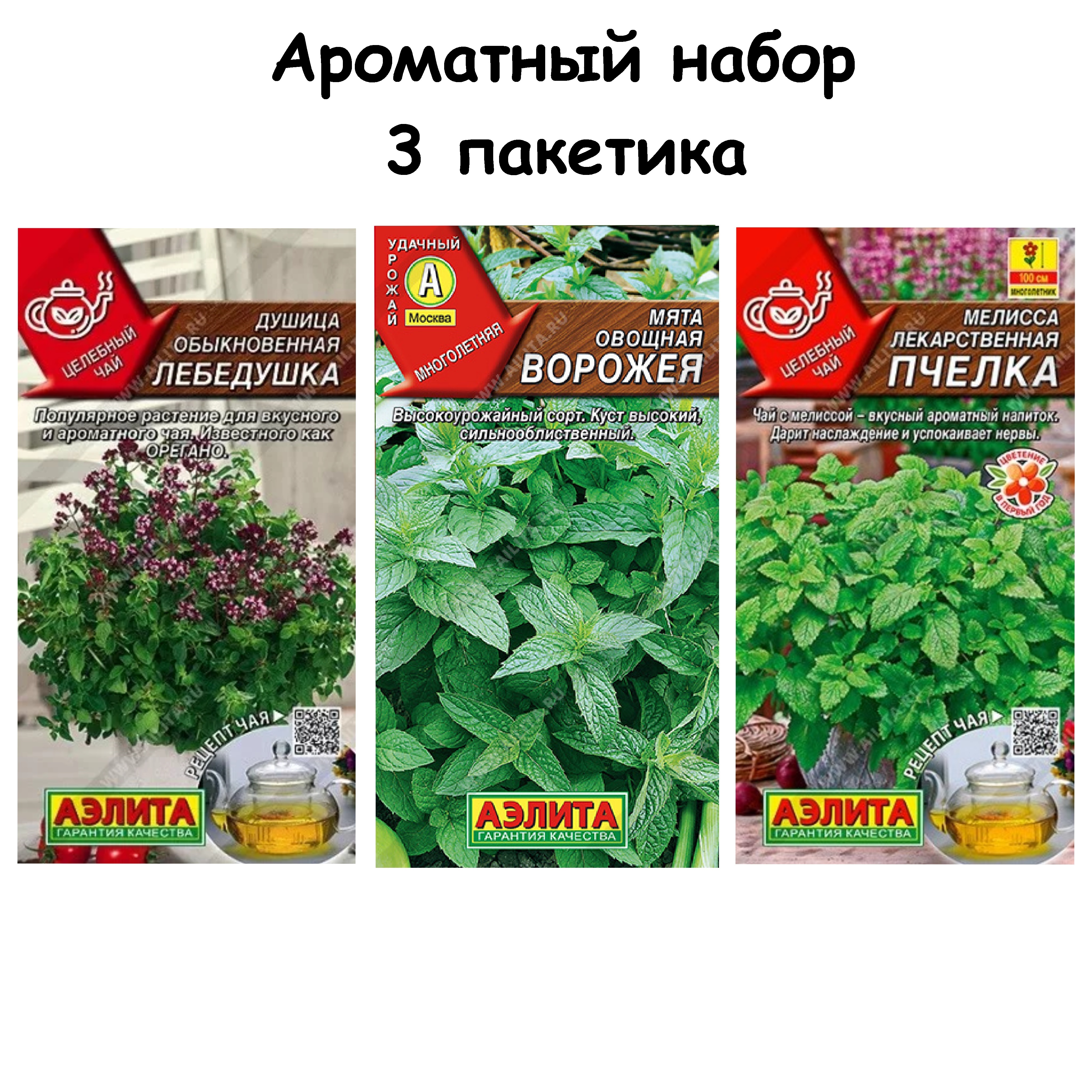 Семена Мяты Купить Недорого