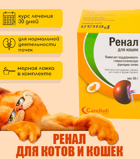 Candioli Ренал для кошек 50 г в наличии. Порошок Candioli Ренал для собак,. Renal Cats Candioli.