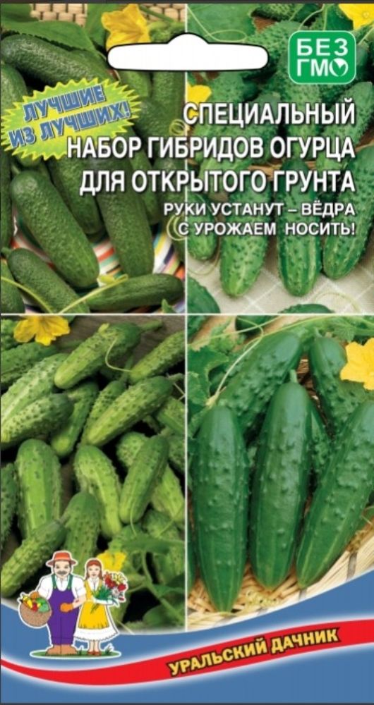 Семена Огурцы Уральский Дачник Купить