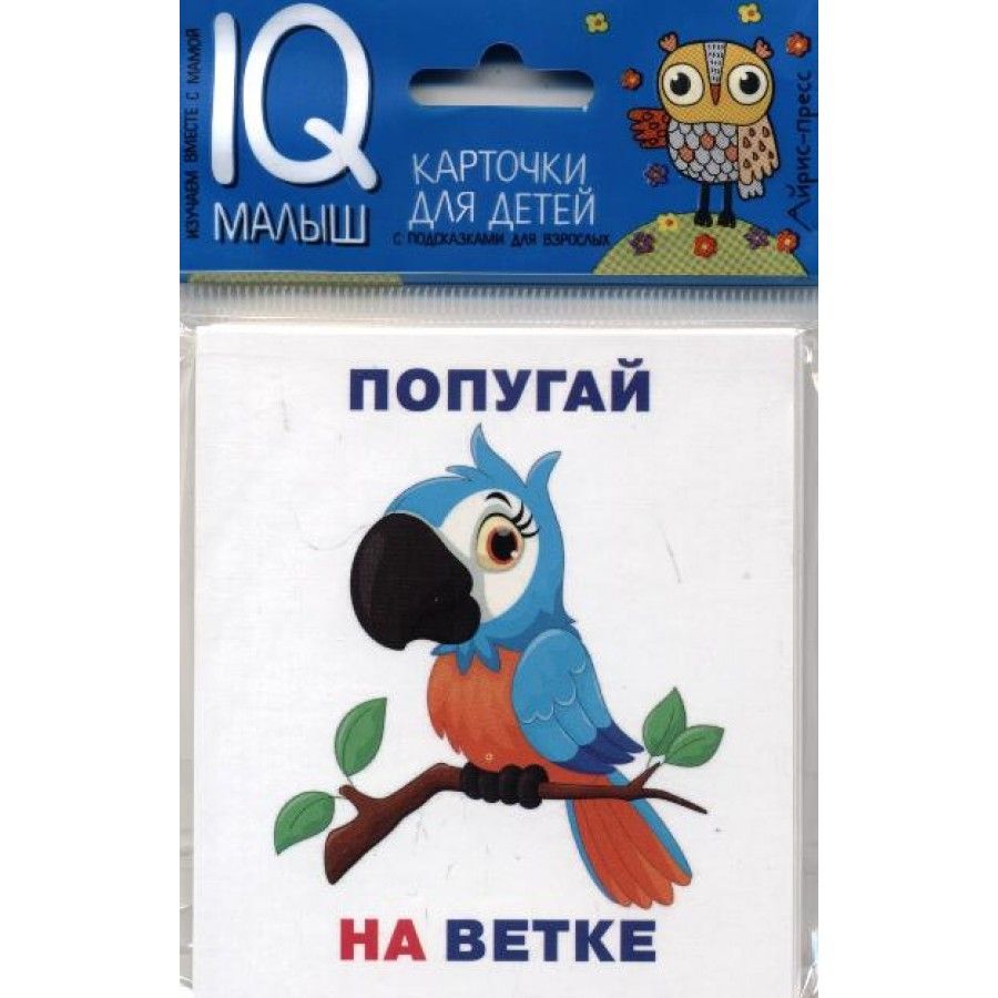 Карточка 12. IQ малыш касса цифр. IQ малыш карточки что где находится.