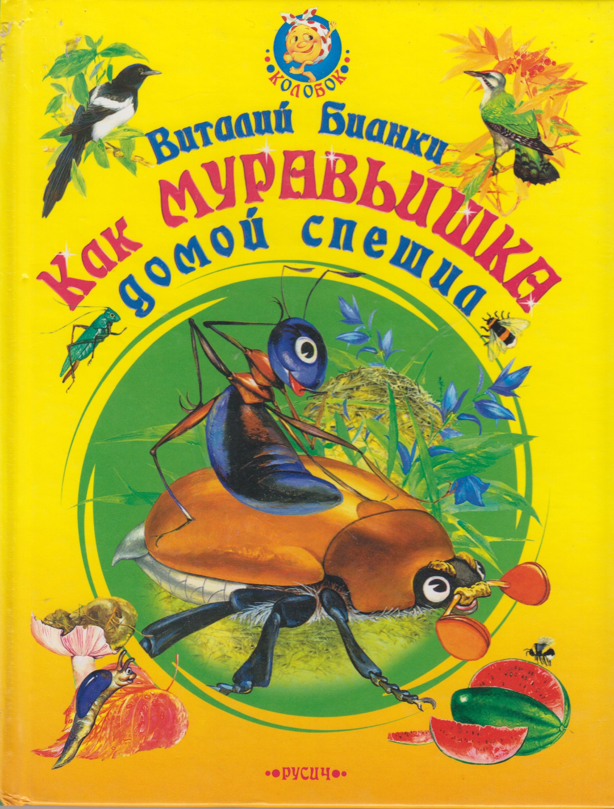 Как муравьишка домой спешил. Муравьишка книга Бианки. Бианки как муравьишка домой спешил книга. Приключения муравьишки Виталий Бианки книга. Обложка книги Бианки как муравьишка домой спешил.