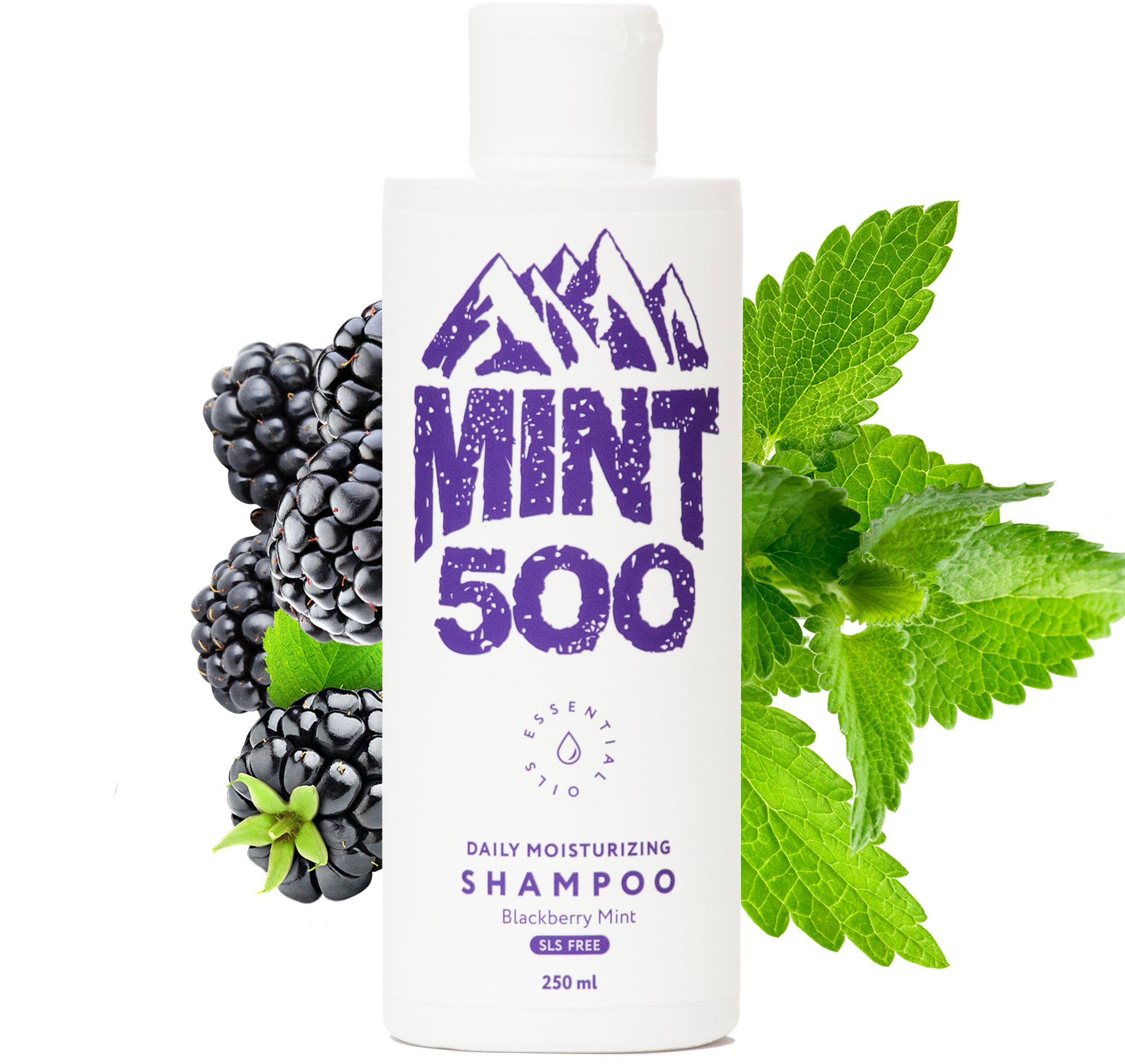 Шампунь mint. Mint 500 шампунь. Шампунь ежевика треугольником. Shampoo BLACKBERRY. Шампунь ежевика гранат.