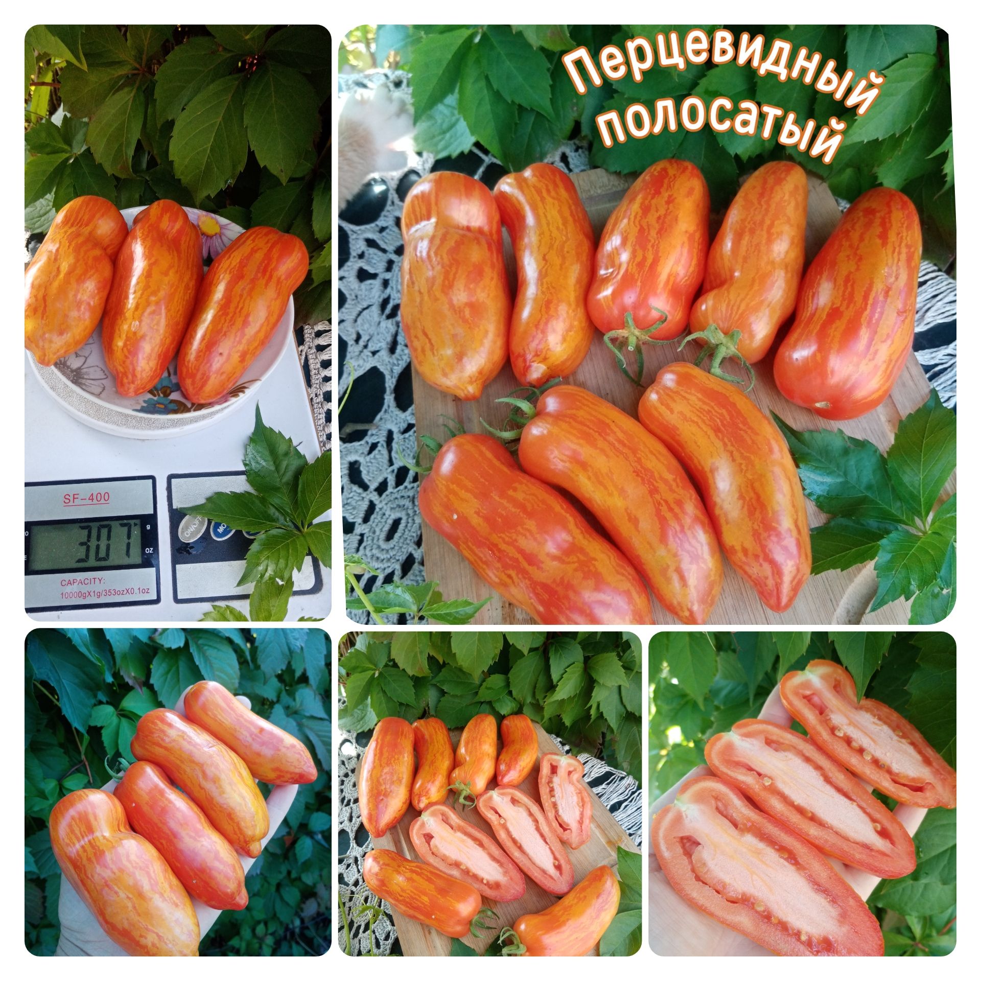 Корейский длинноплодный томат описание сорта фото