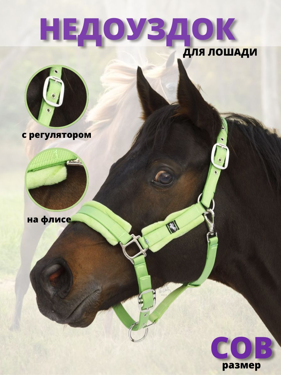 Sweethorse / Недоуздок 