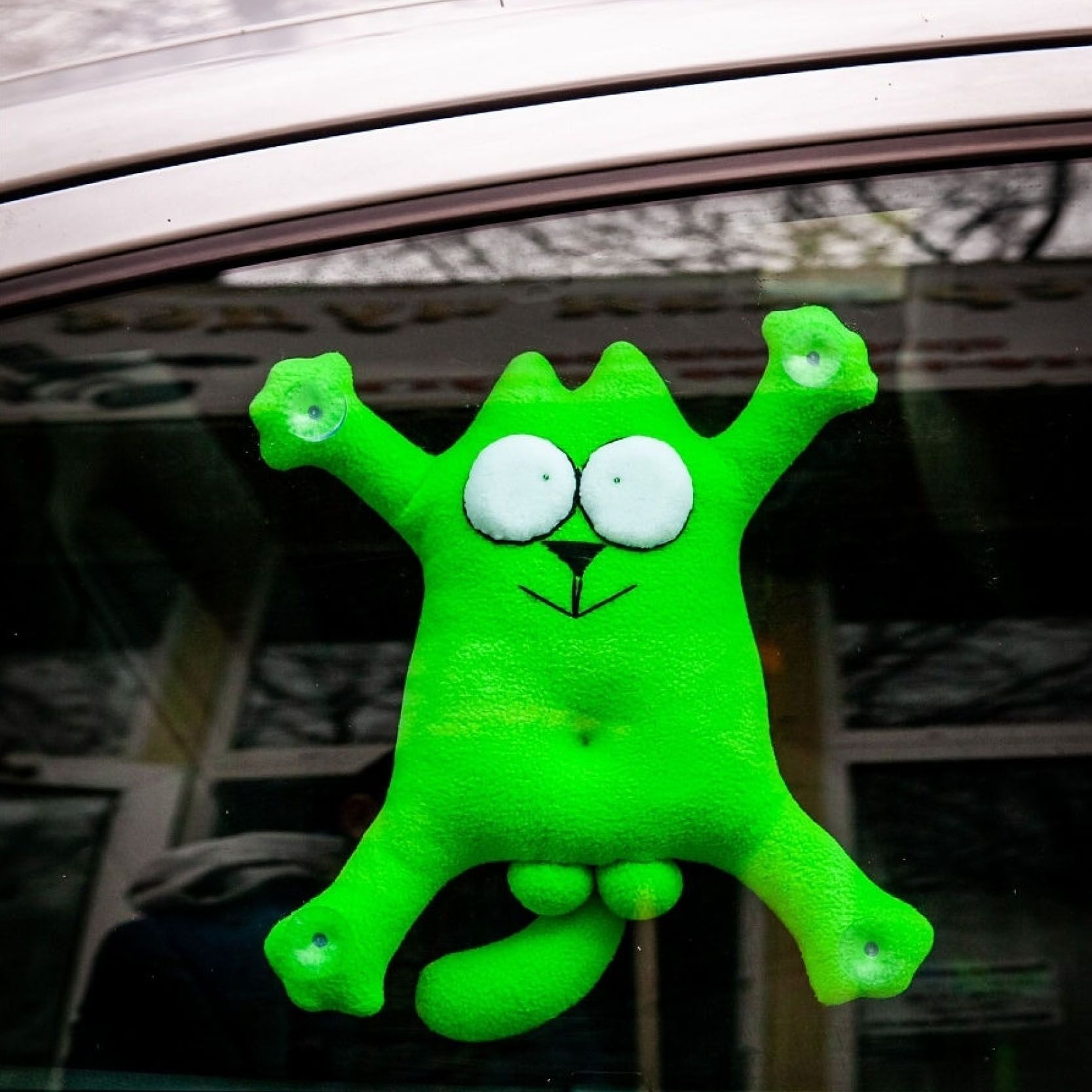 Кот на стекле