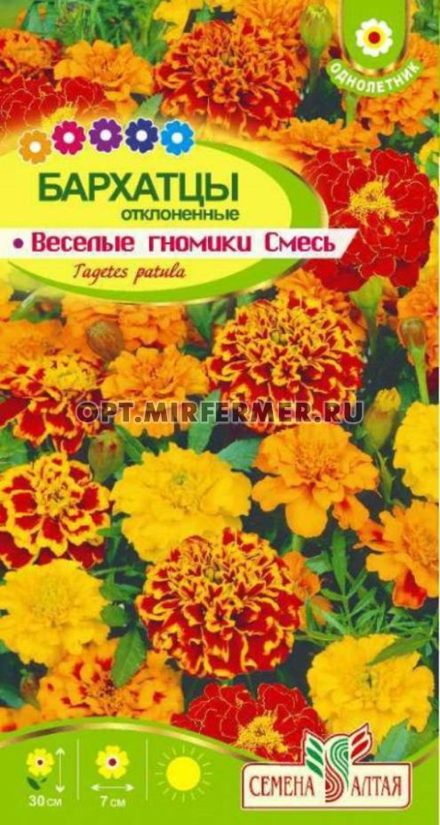 Купить Семена Веселый Гном