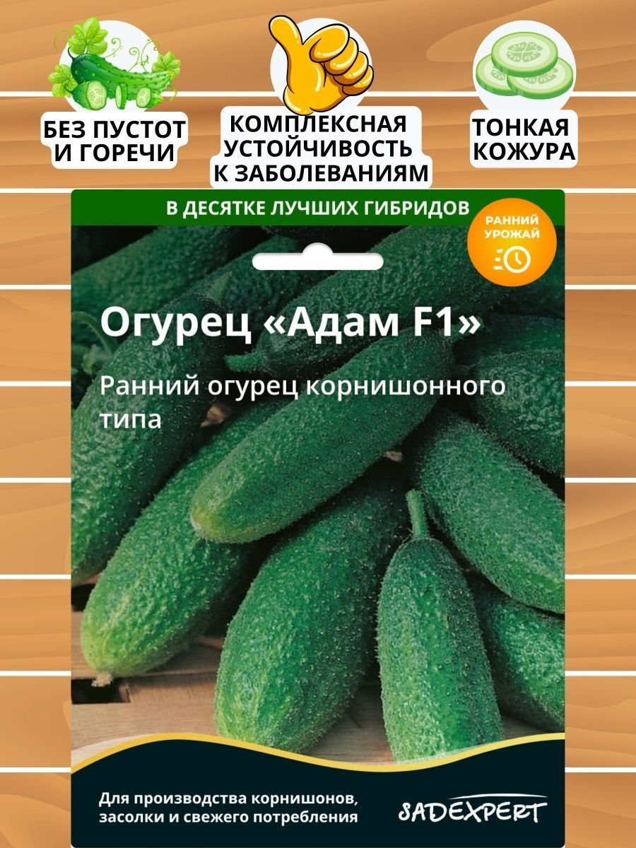 Сорта белых огурцов