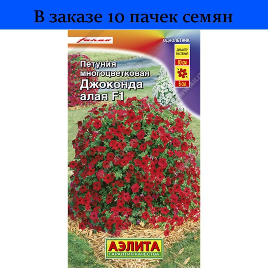 Петуния джоконда объем кашпо. Петуния джоконда мини f1. Петуния джоконда многоцветковая. Петуния каскадная стелющаяся джоконда звездная бургунди. Петуния джоконда объем кашпо.