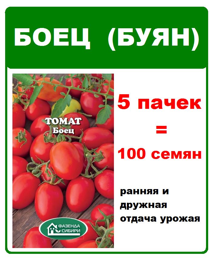 Томат боец. Боец томат описание. СИБНИИРС семена помидоров боец. Буян боец томат описание.