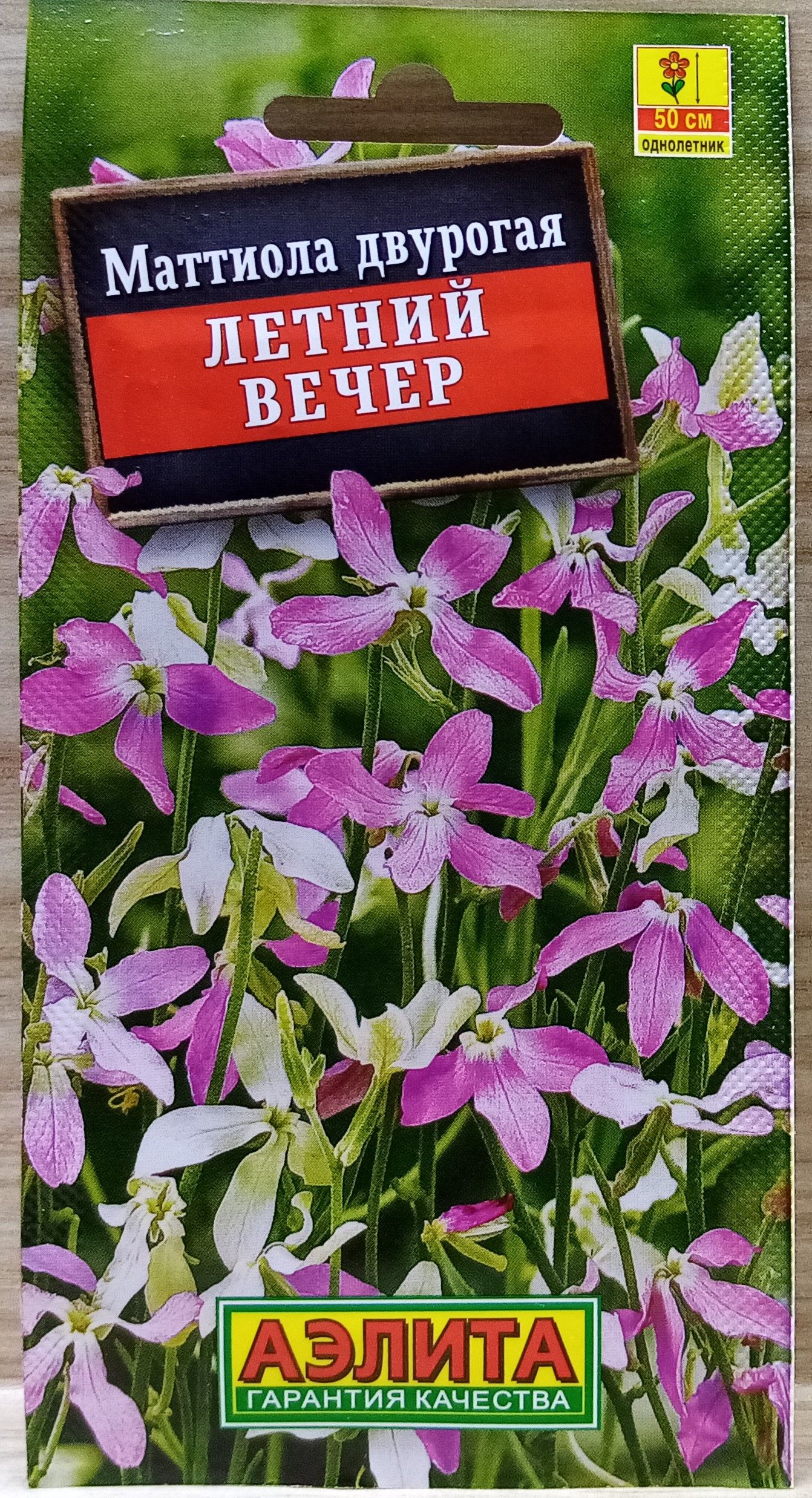 Маттиола летний вечер