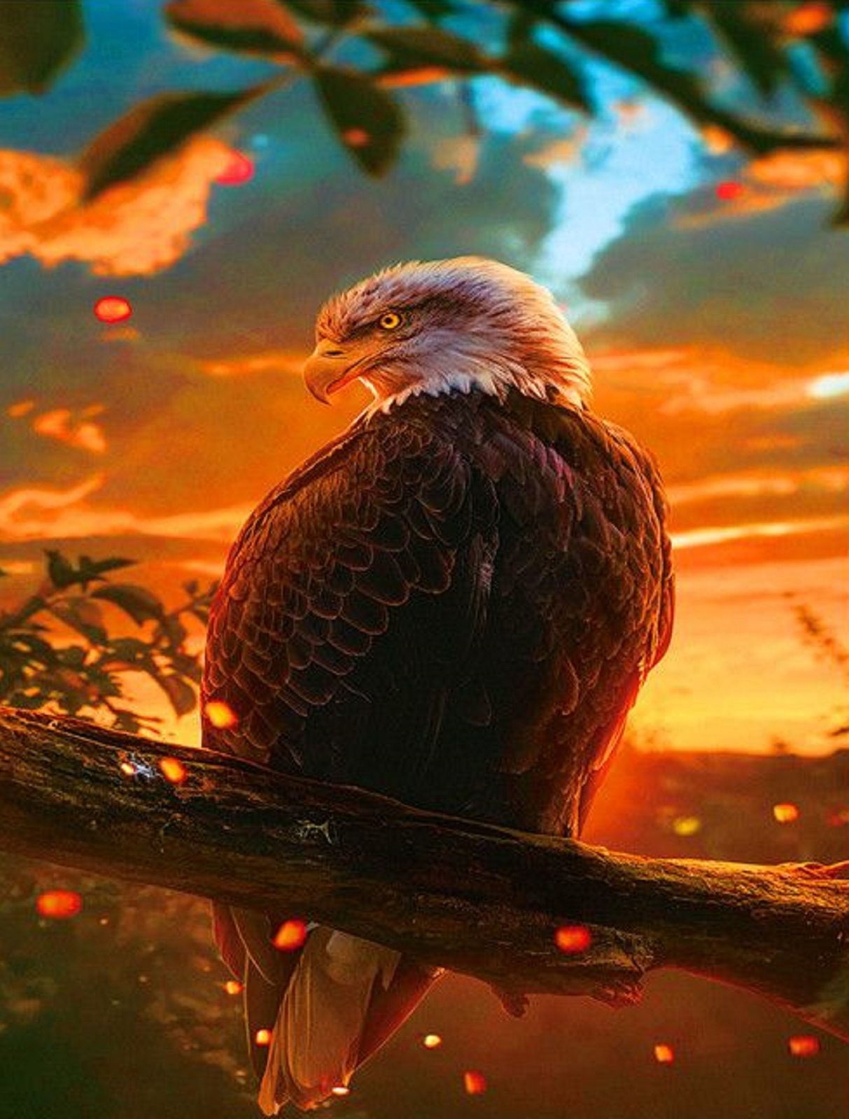 Обои птица, Tawny Eagle, Awaiting Command на телефон и рабочий стол, раздел живо