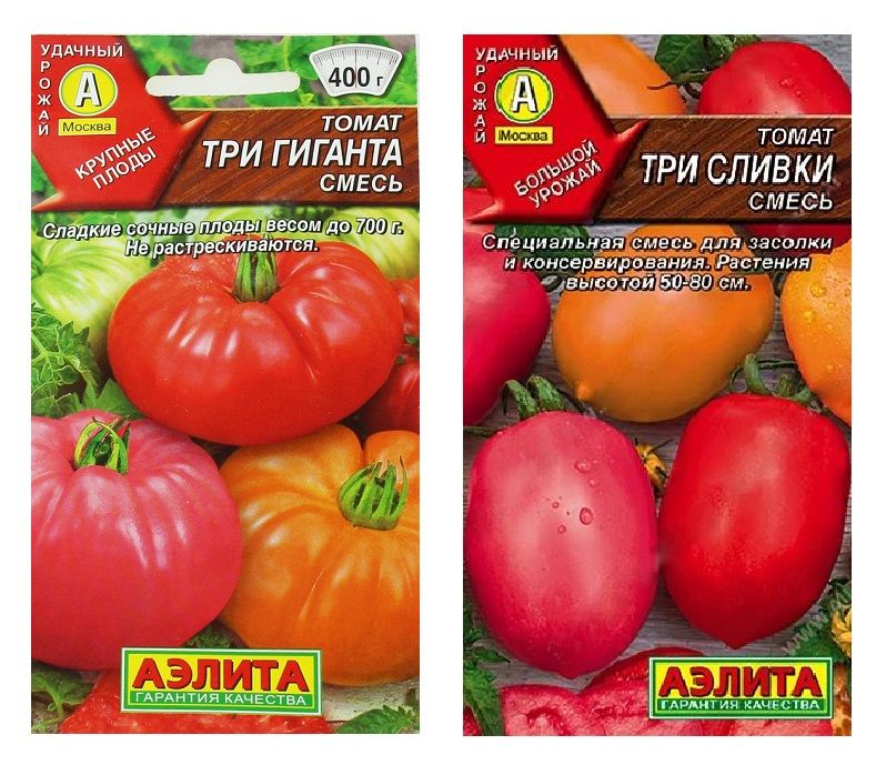 Сорт томатов буденовка отзывы фото урожайность