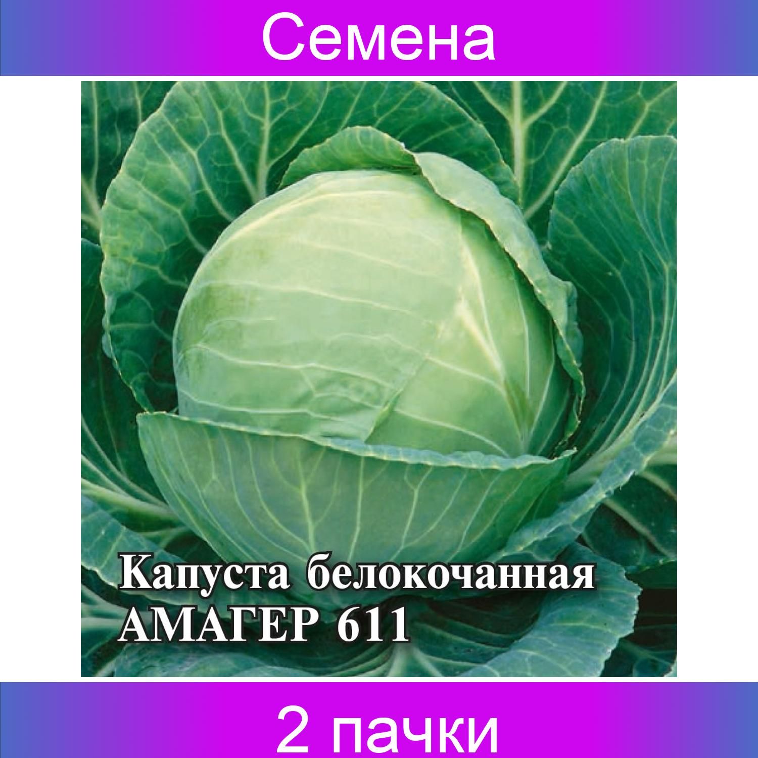 Капуста чудо ультрараннее отзывы. Капуста чудо Ультрараннее. Капуста чудо Ультрараннее f1. Капуста Амагер 611. Капуста Таурус f1.