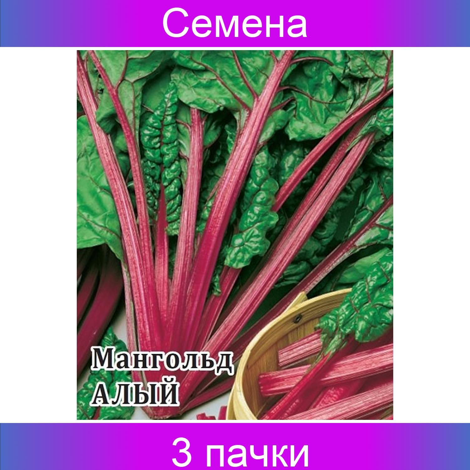 Мангольд алый. Семена мангольд Рубин. Мангольд алый микрозелень. Свекла мангольд алый.