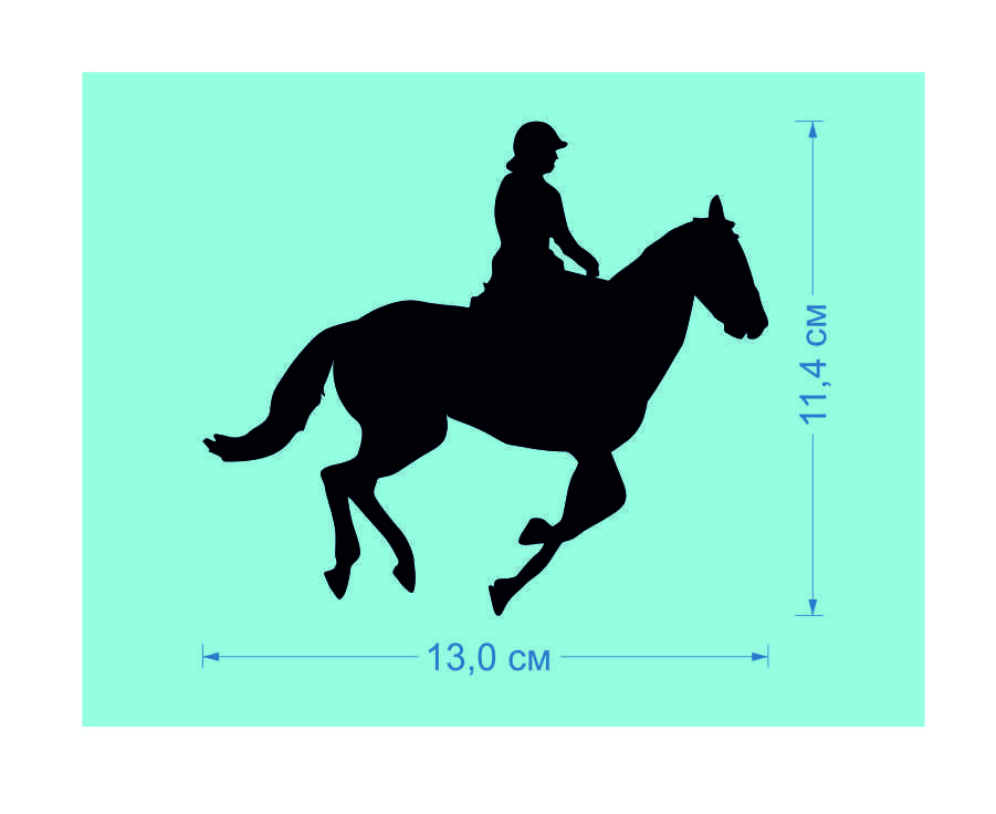 Характеристики конного спорта