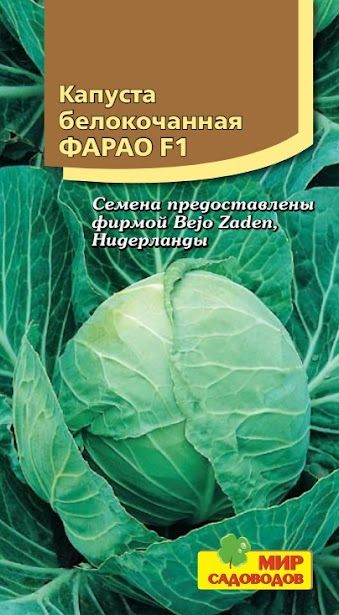 Капуста Дом Семян Капуста белокочанная Фарао F1 - купить по выгодным ценам в инт