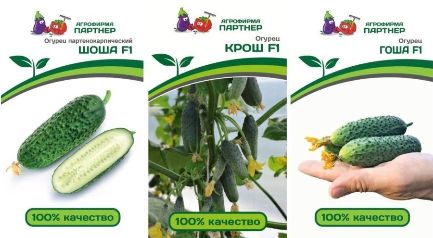 Семена Огурцов Гоша И Шоша Купить