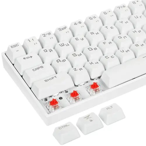 Клавиатура zet immortality. Клавиатура zet Gaming Immortality. Zet Immortality TKL White. Ardor Immortality Mini клавиатура. Клавиатура ZG FL b104.