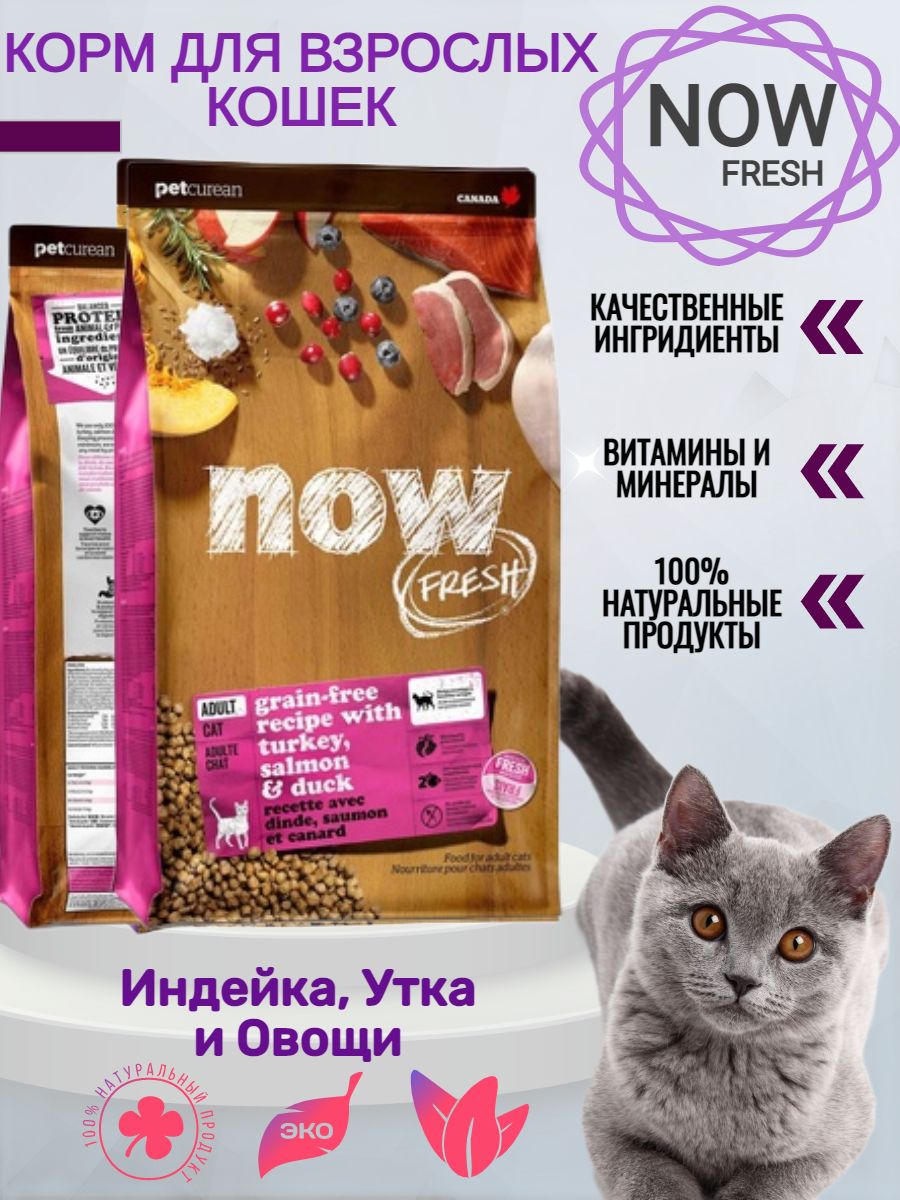 Now fresh корм для кошек купить. Now Fresh корм для кошек Дата.