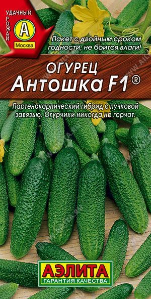 Огурец Антошка F1, семена, 10 шт.