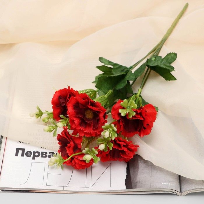 Букет цветов отзывы с фото Купить Poetry in flowers, Букет "Бегония Самба" 4,5х28 см, 2 штуки по выгодной ц