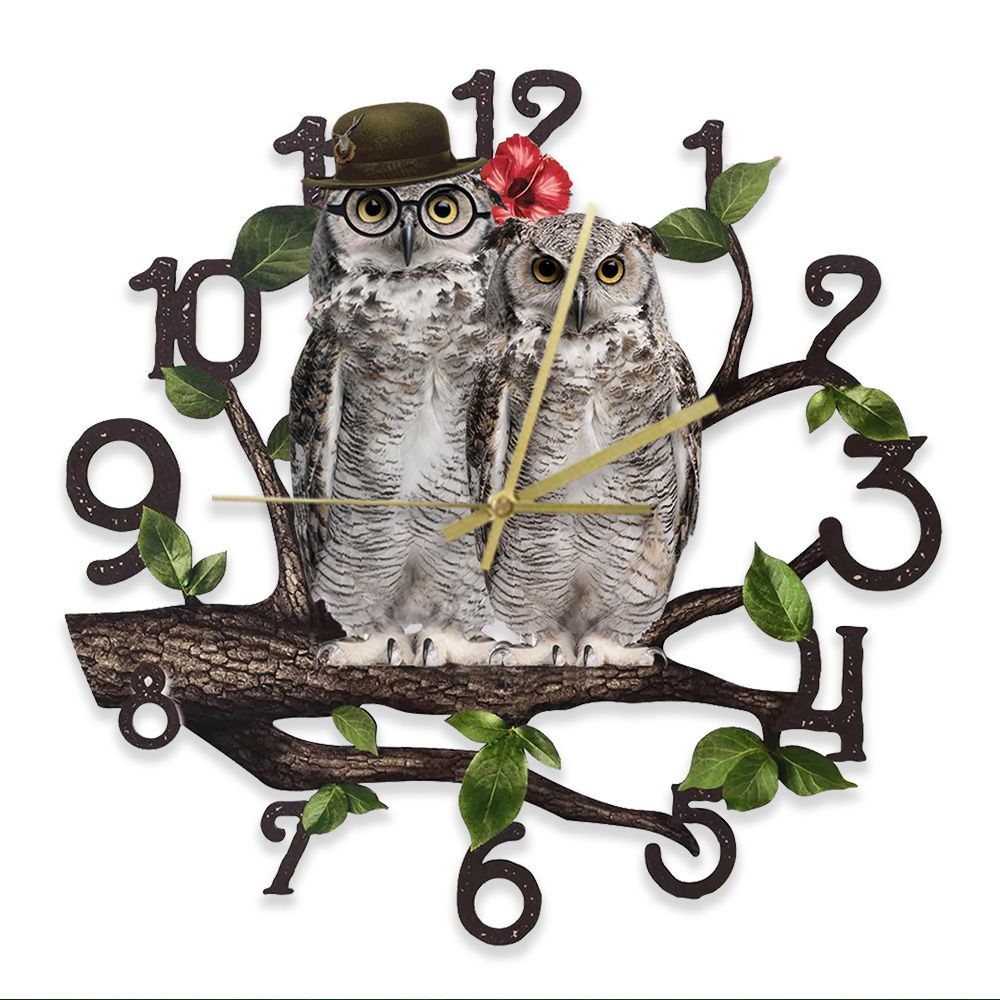 Бесшумные совы. Какую птицу называют пернатой кошкой. Бесшумные совы. Почему у совы бесшумный полет. Owl forest буквы.