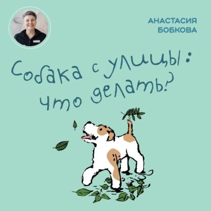 Собака с улицы: что делать? | Бобкова Анастасия Михайловна | Электронная аудиокнига