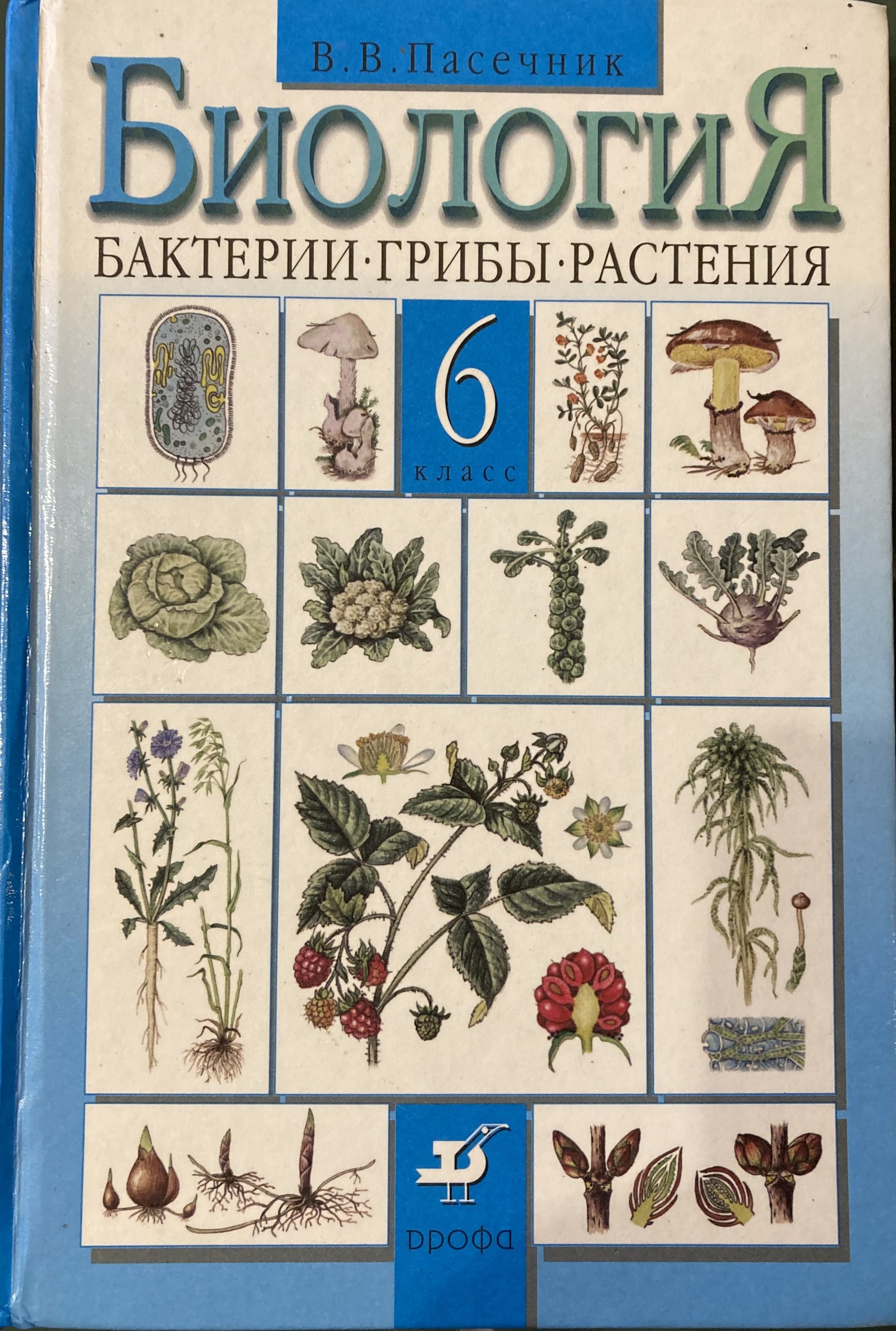 Учебник биологии 6 класс пасечник дрофа