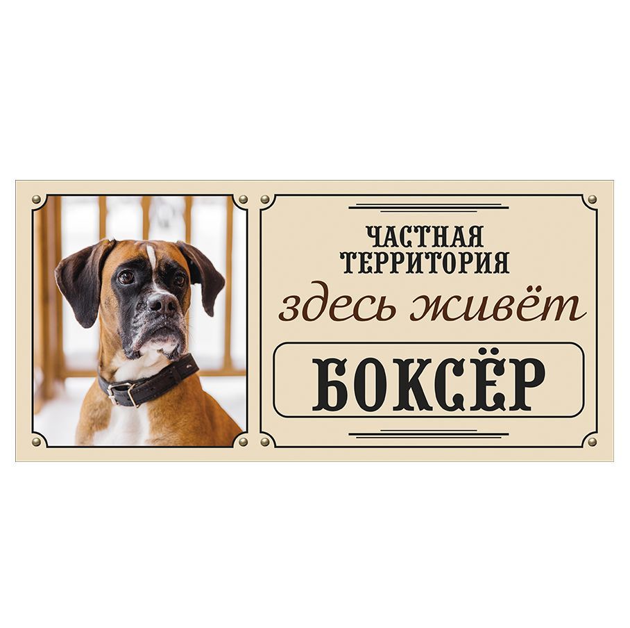 Собака здесь