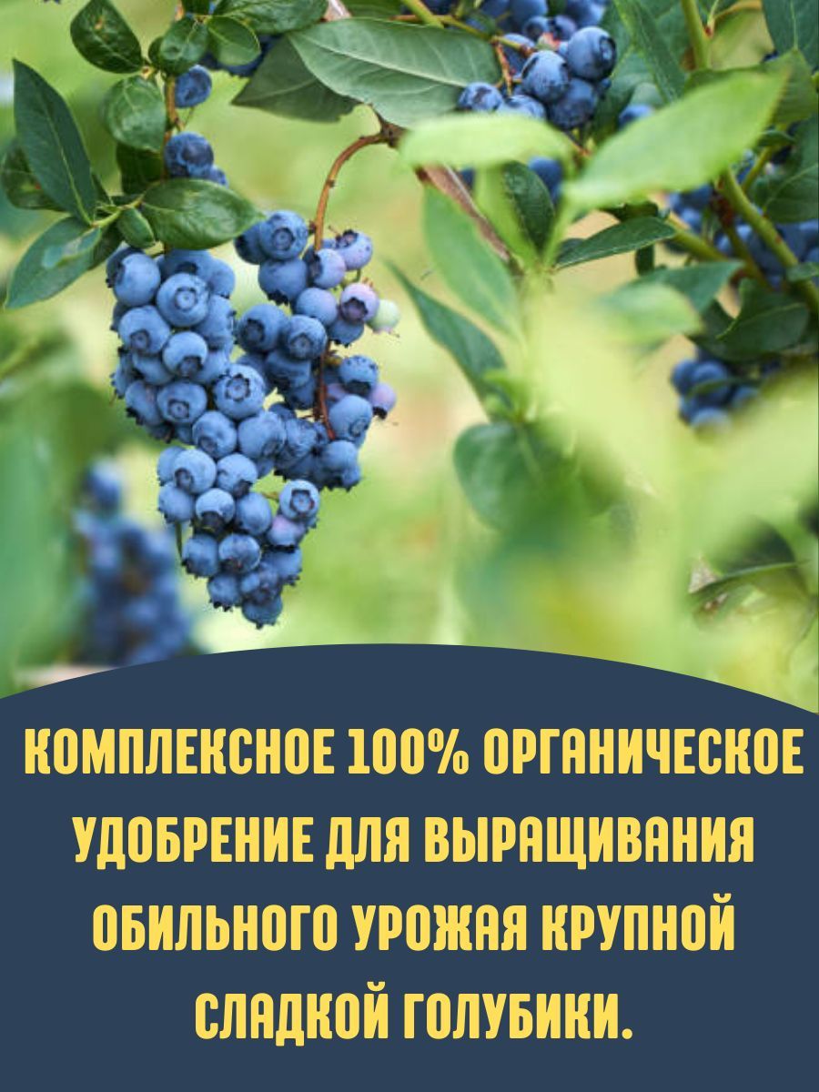 Подкормка голубики осенью на зиму. Органик микс для голубики. удобрение для голубики. голубика 150 грамм стикер фото.