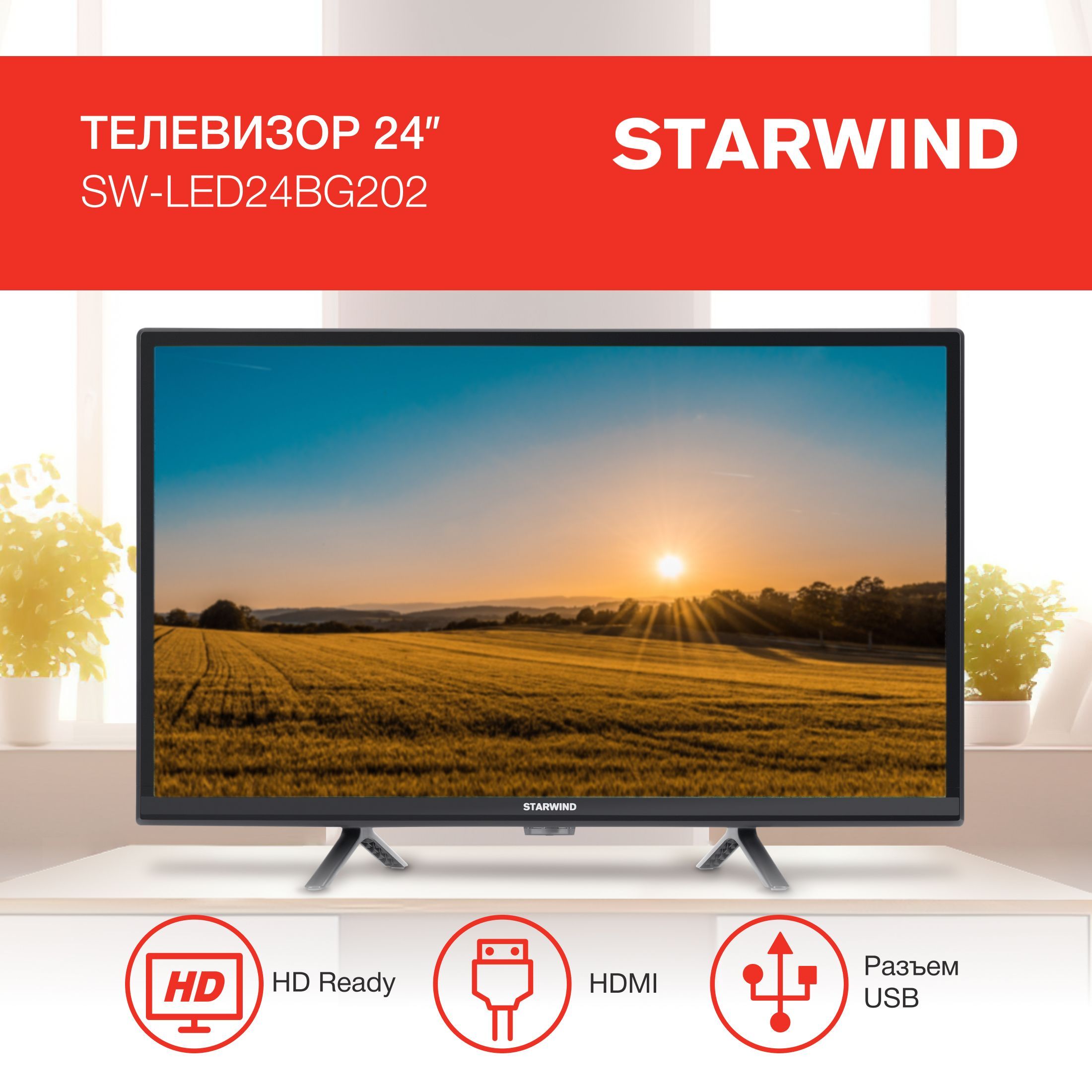 STARWIND Телевизор SW-LED24BG202 Slim Design 24