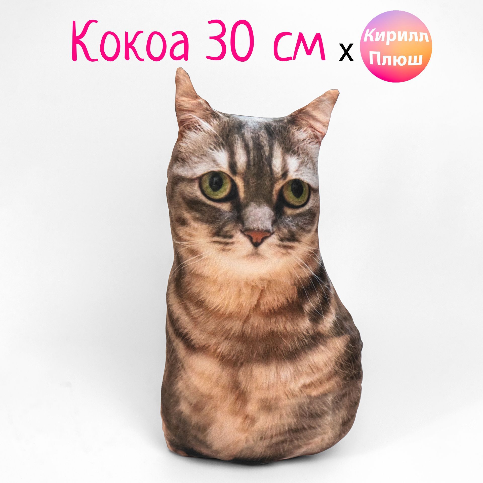 Эльгато котик